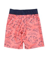 Bermuda-Estampada-de-Tubaroes-Laranja-8432931-Laranja_2