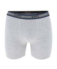 Kit-de-2-Cuecas-Boxer-Lupo-Multicor-8477103-Multicor_2 Kit-de-2-Cuecas-Boxer-Lupo-Multicor-8477103-Multicor_2