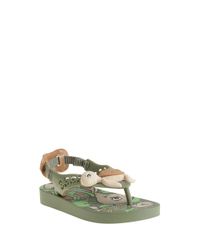 Chinelo-Ipanema--Tartaruga--Verde-8506756-Verde_3