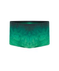 Sunga-Estampada-de-Folhagem-Rangiroa-Verde-8492613-Verde_1