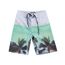 Bermuda-Estampada-Verde-8422501-Verde_1