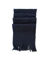 Cachecol-Masculino-Basico-em-Trico-com-Franjas-Azul-Marinho-8184824-Azul_Marinho_3