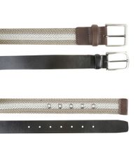 Kit-de-2-Cintos-Multicor-8465392-Multicor_1 Kit-de-2-Cintos-Multicor-8465392-Multicor_1