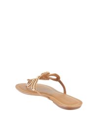 Rasteira-com-Strass-Caramelo-8475945-Caramelo_3
