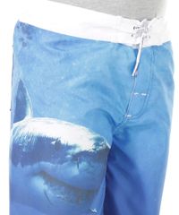 Bermuda-com-Estampa-de-Tubarao-Azul-8480398-Azul_4