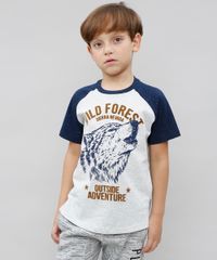 Camiseta-Raglan-Infantil-Lobo--Wild-Forest--Manga-Curta-Gola-Careca-Cinza-Mescla-Claro-9527099-Cinza_Mescla_Claro_1