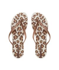 Chinelo-Ipanema-Animal-Print-Bege-8399645-Bege_1