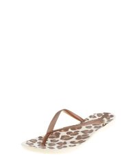Chinelo-Ipanema-Animal-Print-Bege-8399645-Bege_3