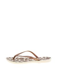 Chinelo-Ipanema-Animal-Print-Bege-8399645-Bege_4