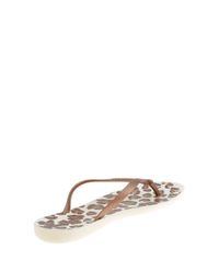 Chinelo-Ipanema-Animal-Print-Bege-8399645-Bege_5