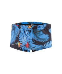 Sunga-Estampada-Floral-Azul-8426052-Azul_1