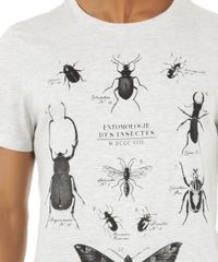 Camiseta--Insetos--Off-White-8519365-Off_White_4 Camiseta--Insetos--Off-White-8519365-Off_White_4