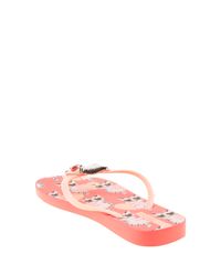 Chinelo-Ipanema--Gatinho--Laranja-8535500-Laranja_4